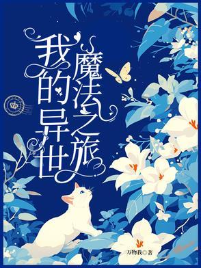 我的异界之旅攻略