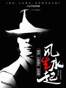 谍战上海滩免费阅读