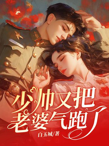 少帅老婆又跑了什么更新完