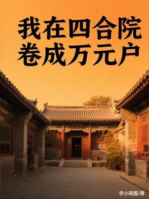 我在情满四合院
