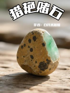 穿越赌圣猎美