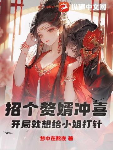招个赘婿冲喜