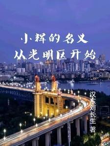 小辉主人公