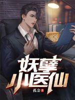 妖孽小医仙免费