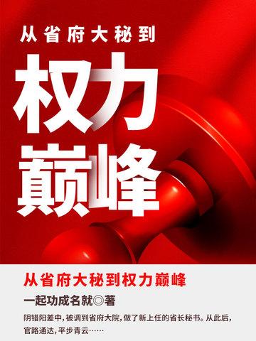 主角从政到省部级的