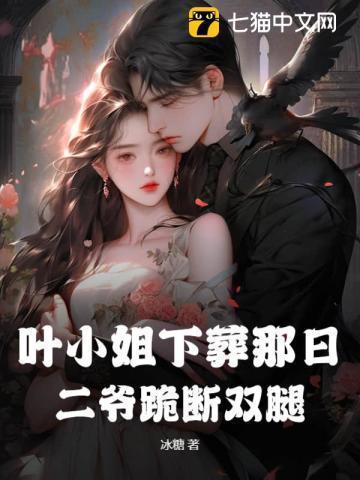 叶小姐追妻