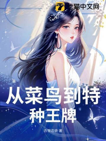 从菜鸟到大师