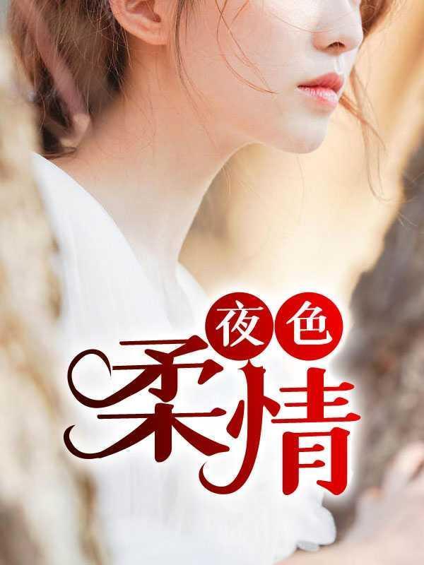 夜色温柔这本书怎么样
