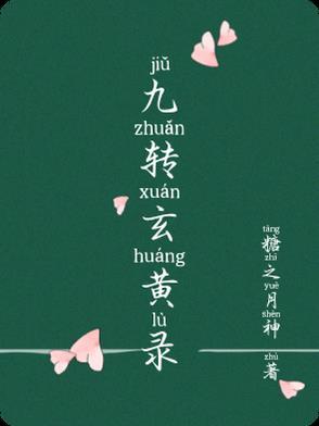 九转玄阳决