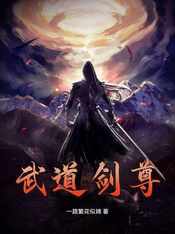 武道剑尊 老友记