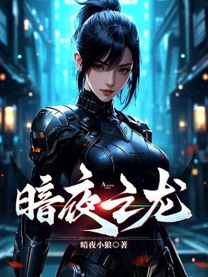 暗夜之龙之禁