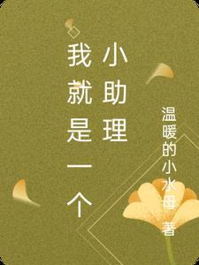 我就是一个小助理英文