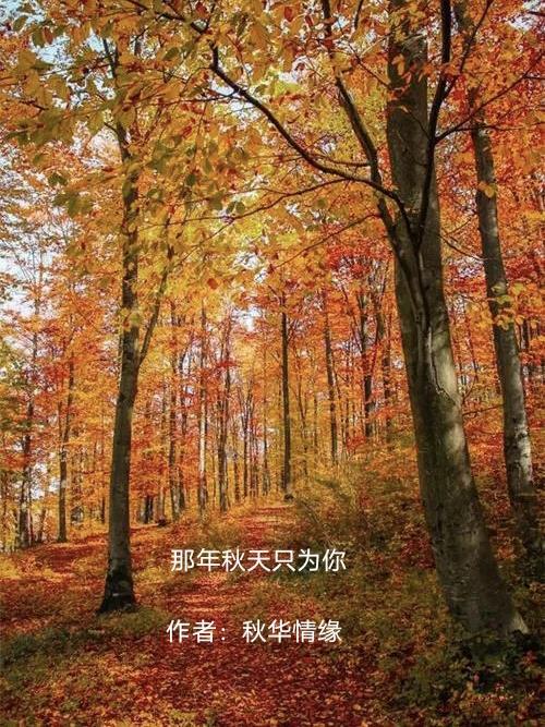 那年秋天我为你写的信歌词