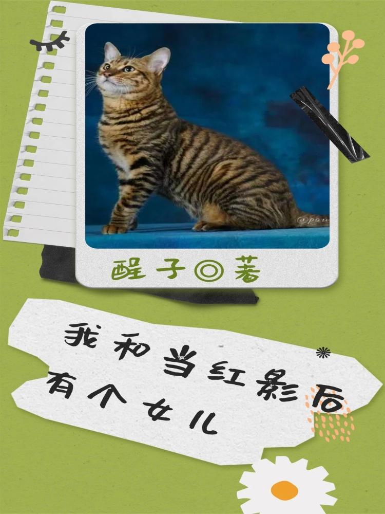 影后和当红花旦的