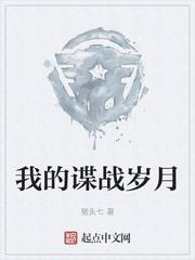我的谍战岁月百度