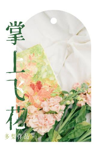 掌上飞花在线阅读