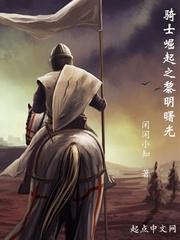 中世纪崛起TXT顶点