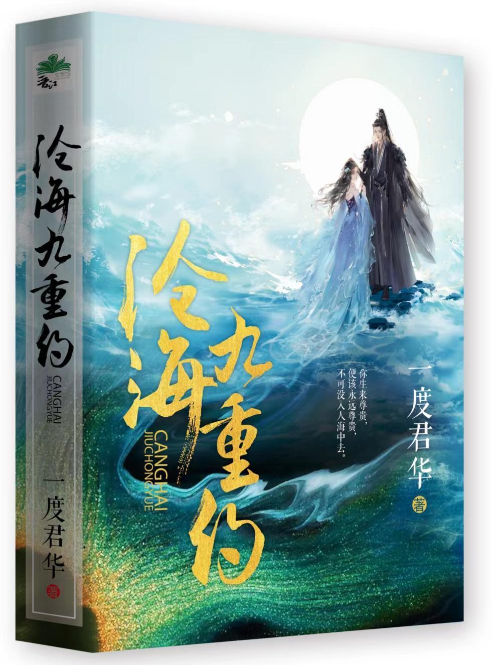 沧海九重约 一度君华txt