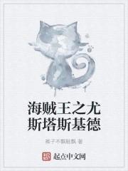 海贼王之征服斯慕吉