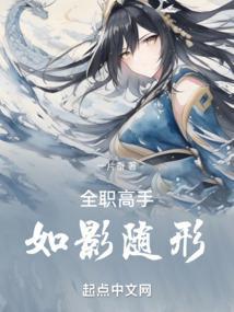 全职高手如我西沉txt