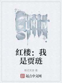 红楼我是贾琏他哥
