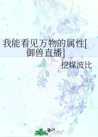 我能看见万物属性txt