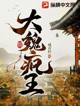 大魏疯王TXT电子书