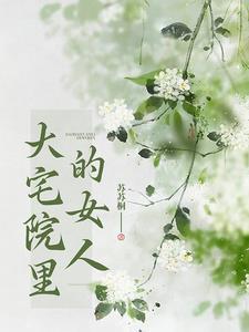 大宅院的女人45集电视剧