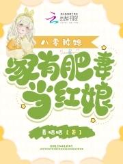 重生八零辣媳妻当家