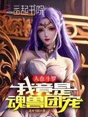 人在斗罗我的武魂是三幻神